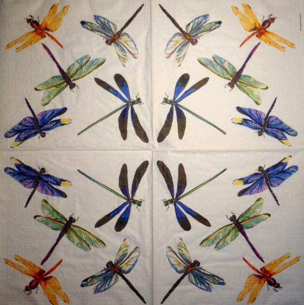 002 Insects - 3-ply - ppd - Adriana Cirstea